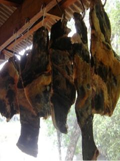 Una foto de Cómo hacer charque (Carne seca)