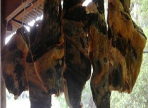 Una foto de Cómo hacer charque (Carne seca)