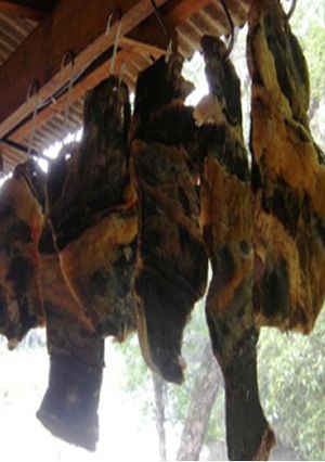 Una foto de Cómo hacer charque (Carne seca)