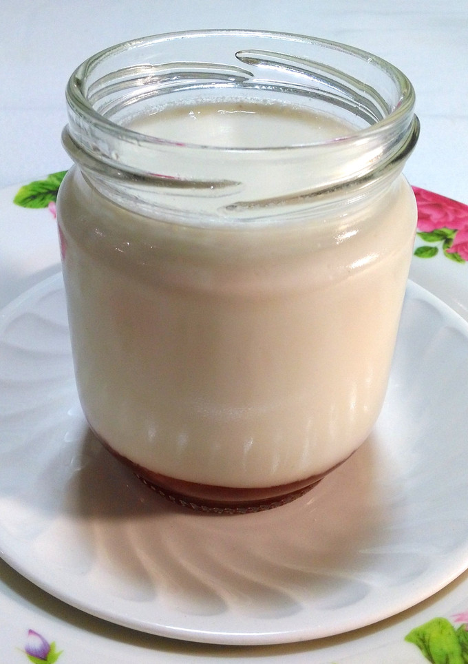 Una foto de Yogur casero con mermelada (en yogurtera)