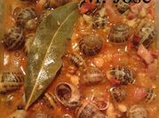 Una foto de caracoles con jamon