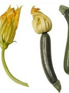 Una foto de Calabacitas con elotes