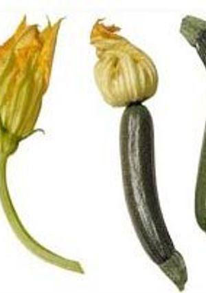 Una foto de Calabacitas con elotes