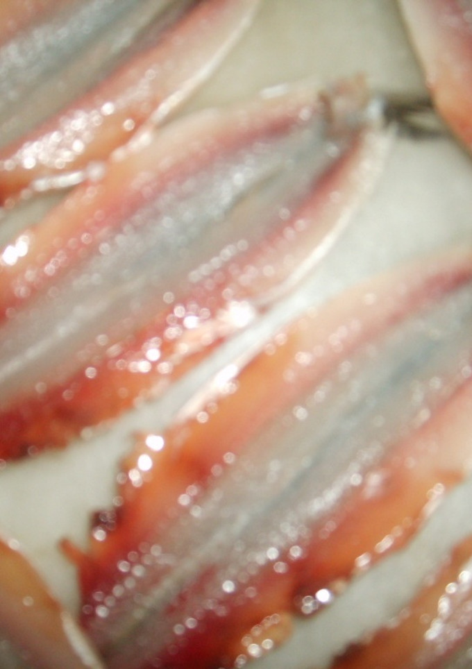 Una foto de Anchoas (boquerones) en vinagre