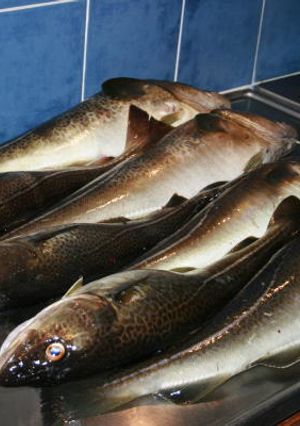 Foto principal de Bacalao a la racinguista