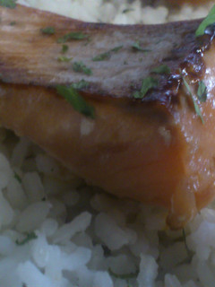 Foto principal de Salmon marinado en Soja y Miel