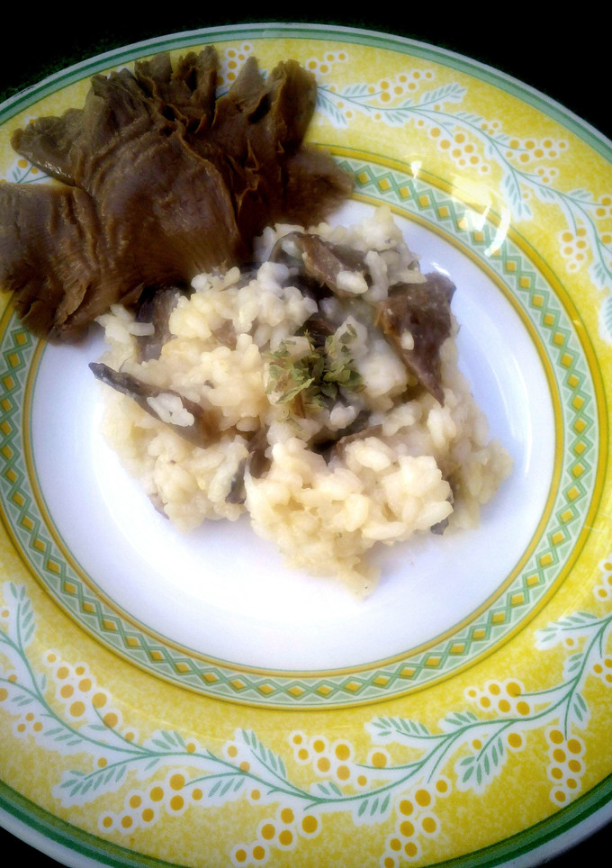 Una foto de Risotto de setas