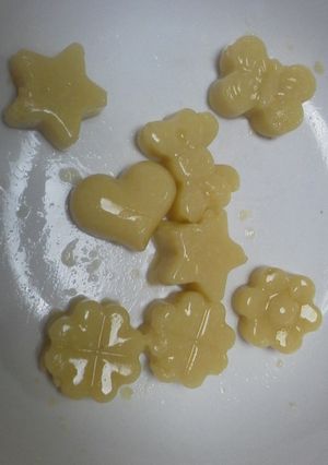 Foto principal de Gelatinas/pudin de semillas de ginko biloba, batatas o alubias claras. Apto celiacos y alergicos.