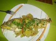 Una foto de pescado pargo