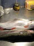 Trucha o trucha arco iris al horno con papas