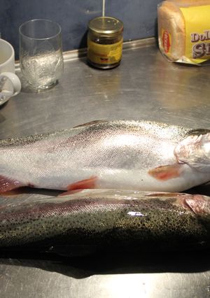 Una foto de Trucha o trucha arco iris al horno con papas