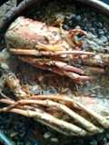 Frijoles tiernos de Cobán con langosta