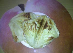 Una foto de Waffles en sandwichera