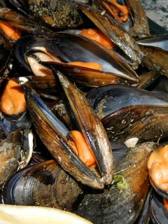 Una foto de mejillones al vapor .