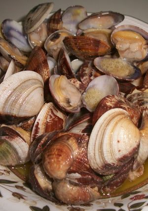 Una foto de Almejas de la Costa del Ampurdan