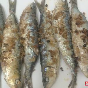 Sardinas a la plancha marinadas con flor de sal y especias