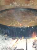 Liebre al disco de arado
