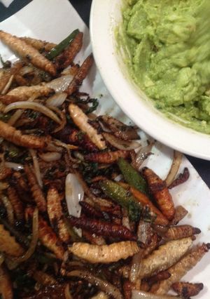 Una foto de Gusanos de maguey
