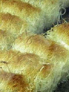 Una foto de Kadaif de nuez (postre turco)