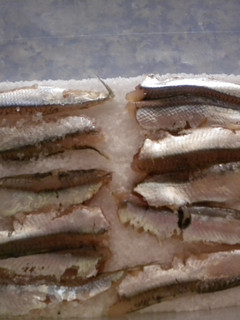 Una foto de Elaboración de las anchoas en salazón