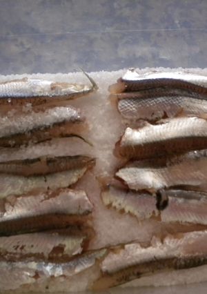 Una foto de Elaboración de las anchoas en salazón