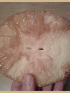 Una foto de Pantortillas de Reinosa