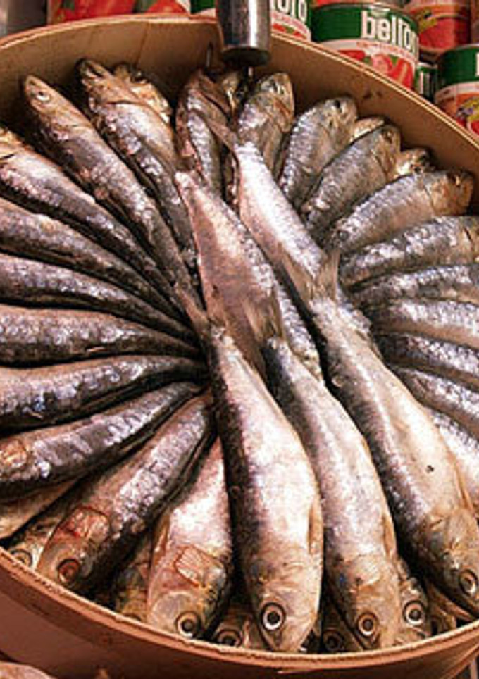 Una foto de Soparet Alacantí