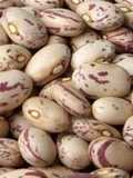 Arroz con bolillos (judías pintas)