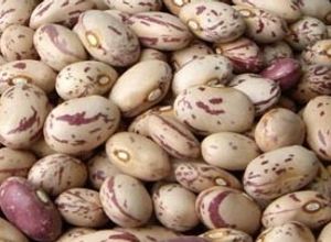Foto principal de Arroz con bolillos (judías pintas)