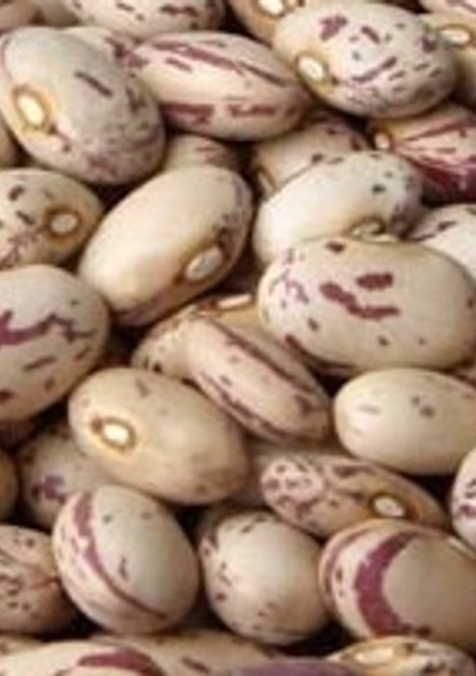 Una foto de Arroz con bolillos (judías pintas)