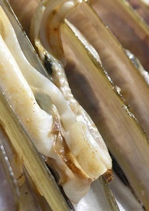 Una foto de Ensalada de navajas y espárragos de Santi Santamaría