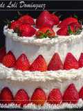 Strawberry and Cream Cake with Dense Chocolate Sponge