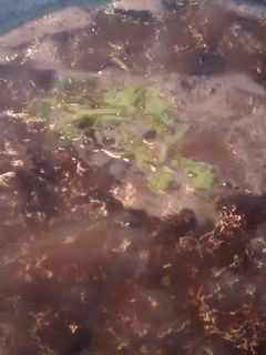 Una foto de Caldo de frijol con chicharrón