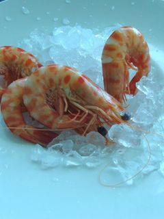 Una foto de Ensalada de langostinos light