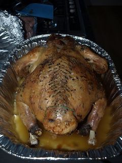 Una foto de Pavo para Navidad 