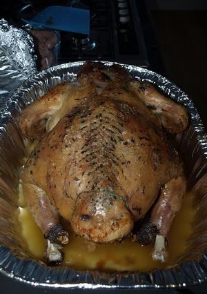 Una foto de Pavo para Navidad 