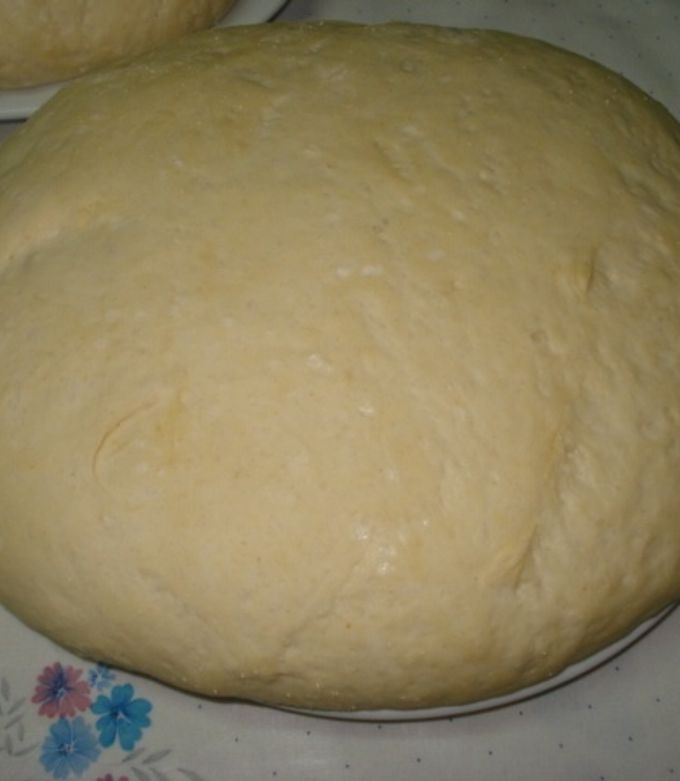 Foto principal de Masa para pizza casera Argentina