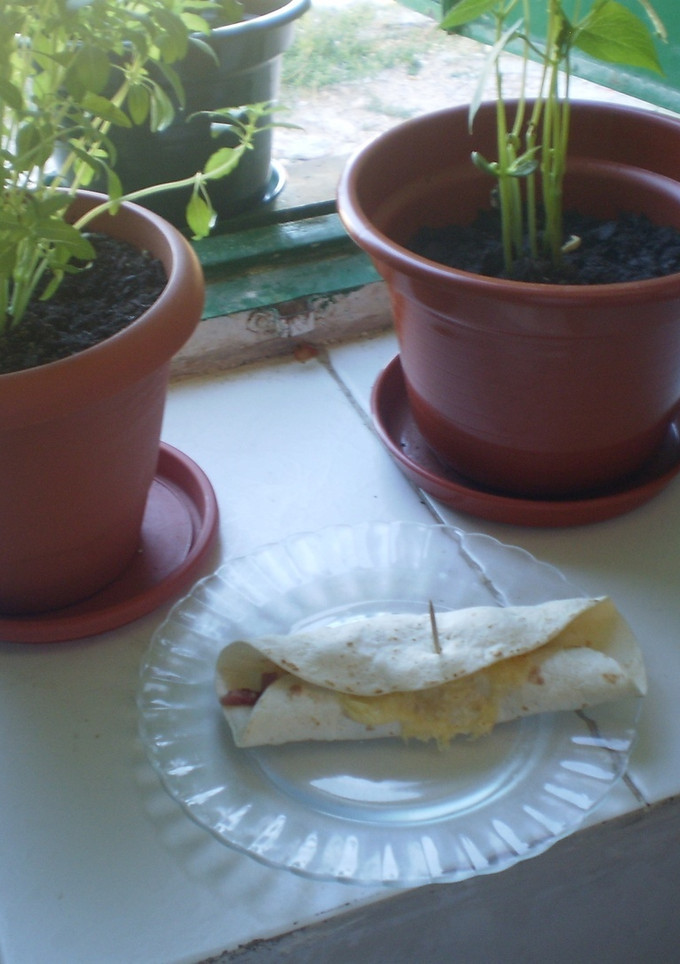 Una foto de Tortilla de trigo rellena de jamón y queso 