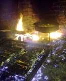 Carnes doradas en disco