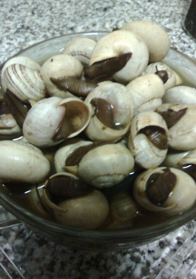 Una foto de Caracoles con caldo