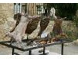 Carnes a la brasa