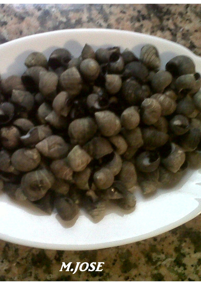 Una foto de Caracolillos cocidos