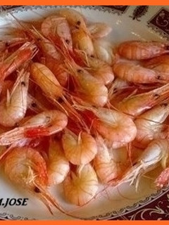 Una foto de Quisquillas cocidas