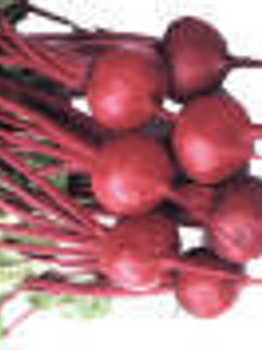 Una foto de Gazpacho de Remolacha con marisco