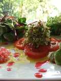 Ensalada de otoño en verde y rojo