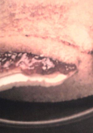 Una foto de Sándwich de bolsillo