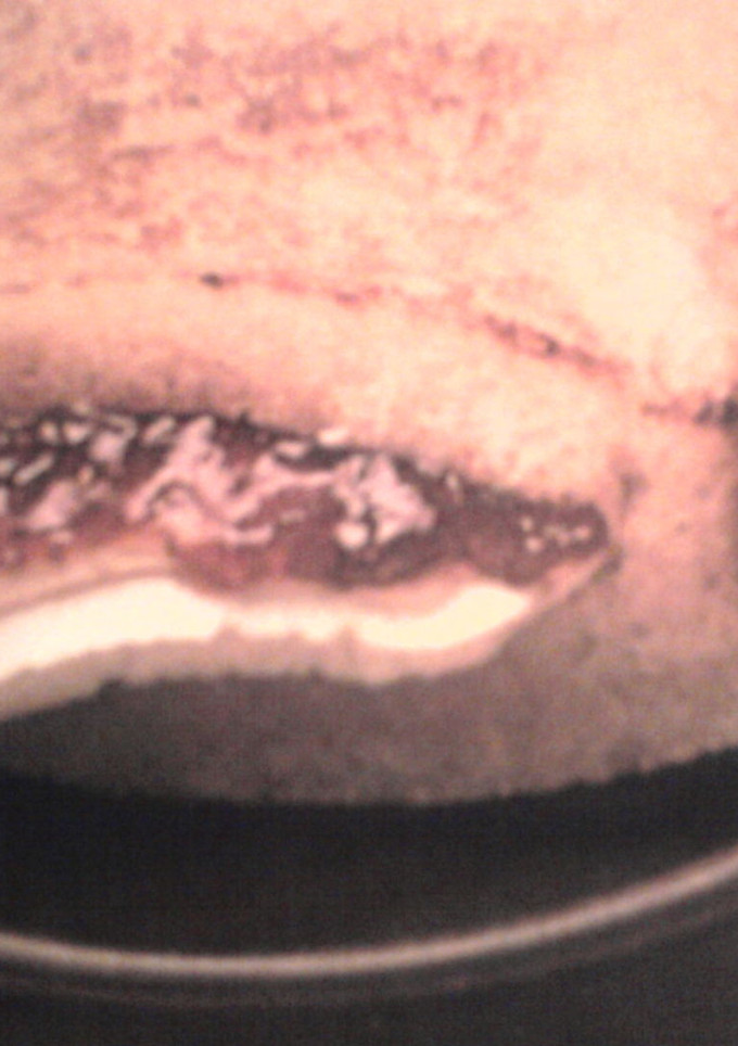 Una foto de Sándwich de bolsillo