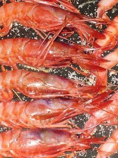 Una foto de Gambas a la plancha perfectas