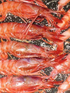 Una foto de Gambas a la plancha perfectas