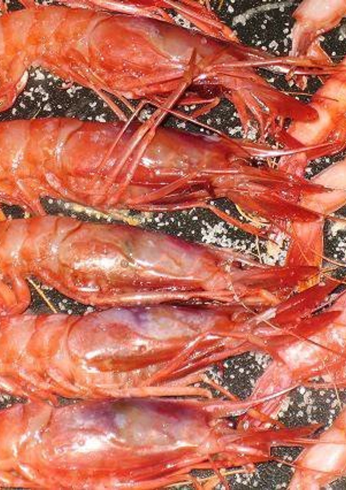 Una foto de Gambas a la plancha perfectas
